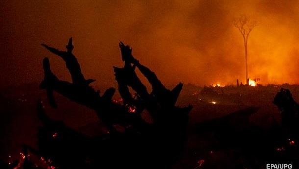 До 15 возросло число жертв лесных пожаров в Калифорнии