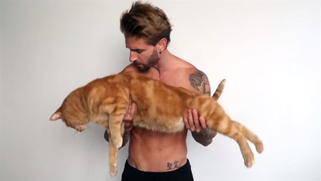 Блогер показал, как можно накачать мышцы с помощью кота - видео