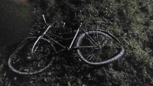 В Столинском районе погиб велосипедист