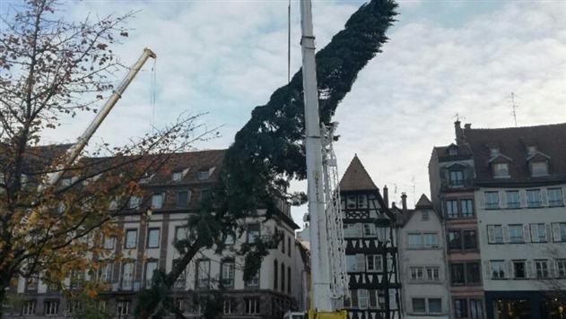 В Страсбурге треснула вторая рождественская елка