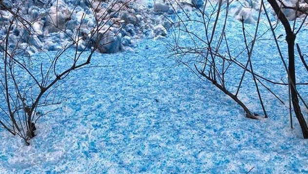 В Петербурге выпал синий снег