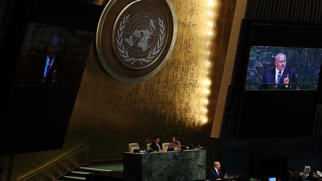 Стало известно, кто в ООН голосовал против резолюции по Крыму
