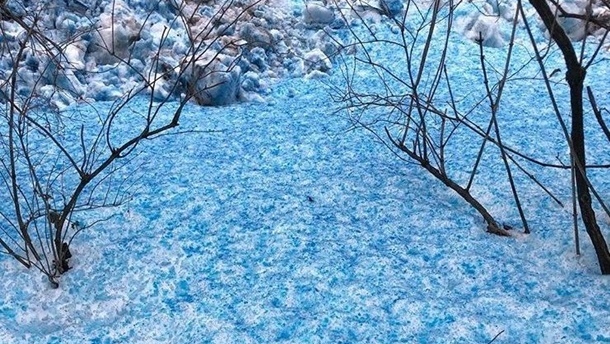 Синий снег в Питере: ученые установили причину